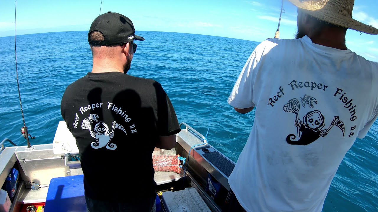 Chasing Work-ups out at Little Barrier