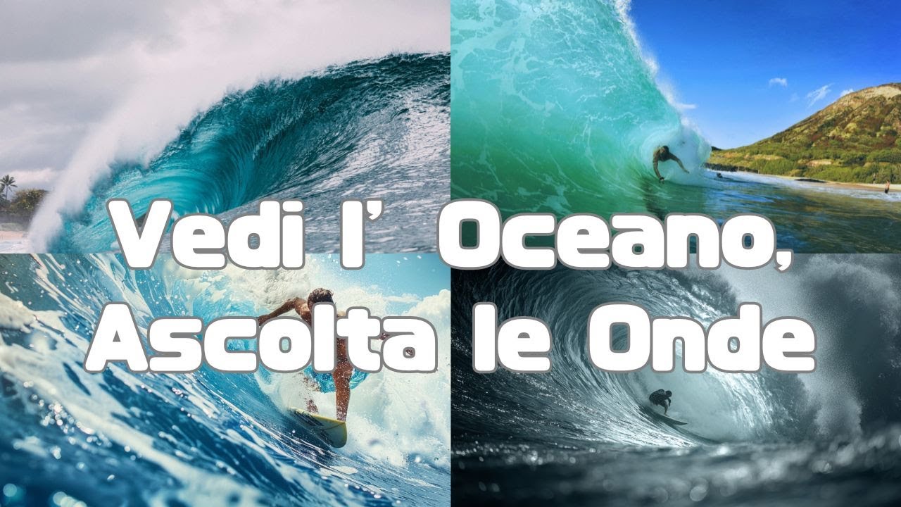 Grandi Onde Invernali alle Hawaii | Gara di Surf North Shore | Vedi l’Oceano, Ascolta le Onde