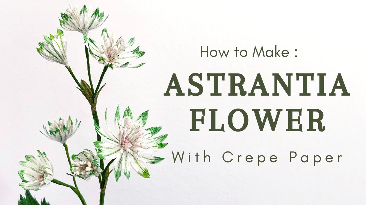 USING CREPE PAPER TO MAKE ASTRANTIA "SNOW STAR" | without pre-made stamen