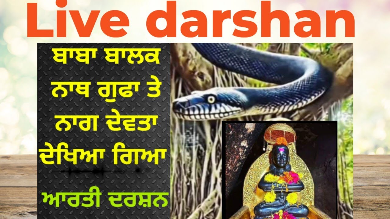 बाबा बालक नाथ गुफा पर नाग देवता देखा गया || साल में एक बार दर्शन देने आता || आरती दर्शन || deothsidh