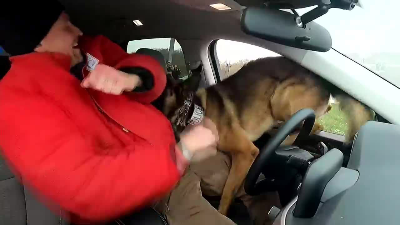 O’Fallon Police Department sees four-legged retirements, welcomes rookies to K-9 Unit