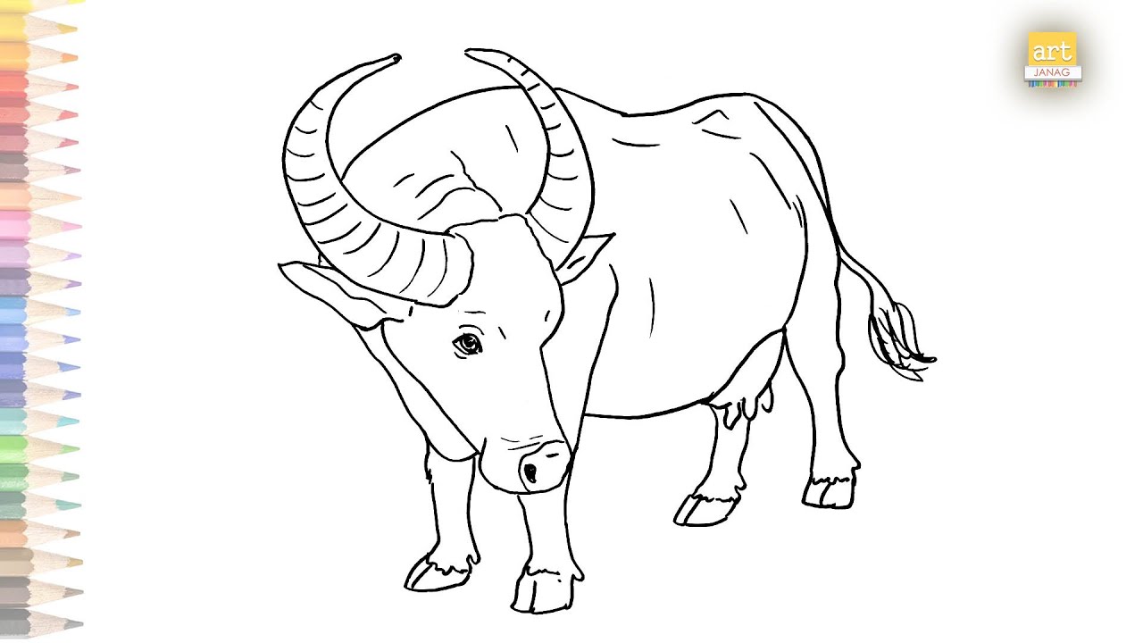 Village Buffalo outline sketch drawing easy | How to draw A village Buffalo step by step