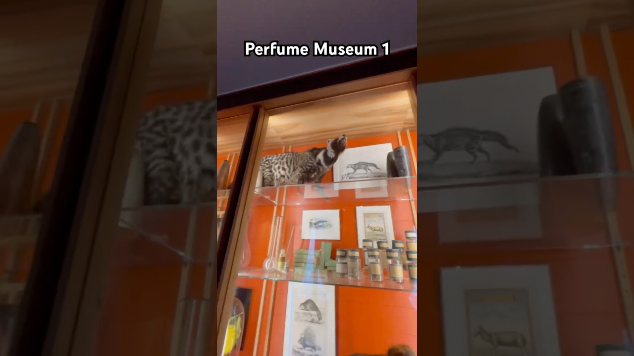 Perfume museum 