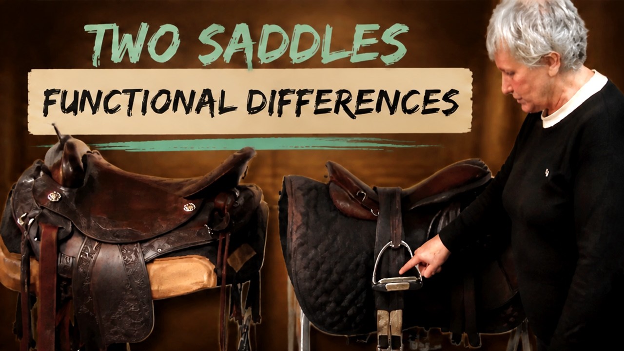 Difference between english and Western saddles
