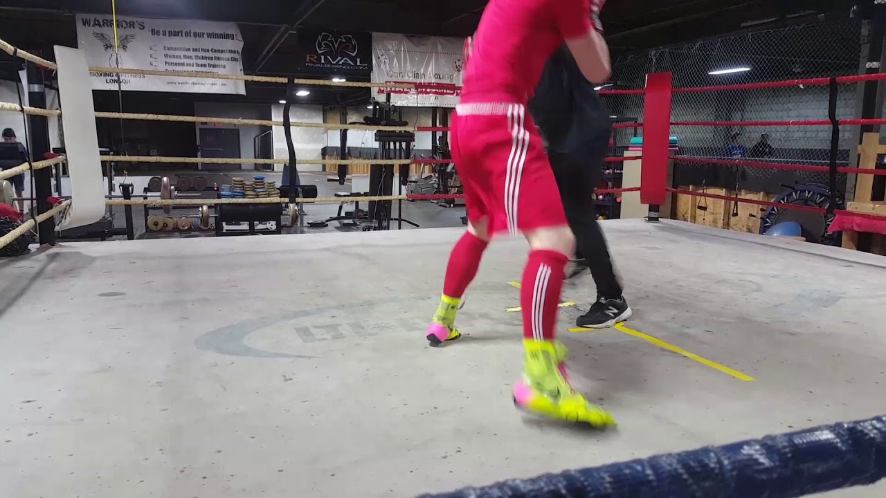 Father  and son boxing sparring