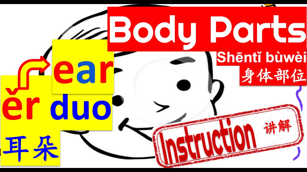 Instruction|| Names of body parts in Chinese 身体部位名称讲解