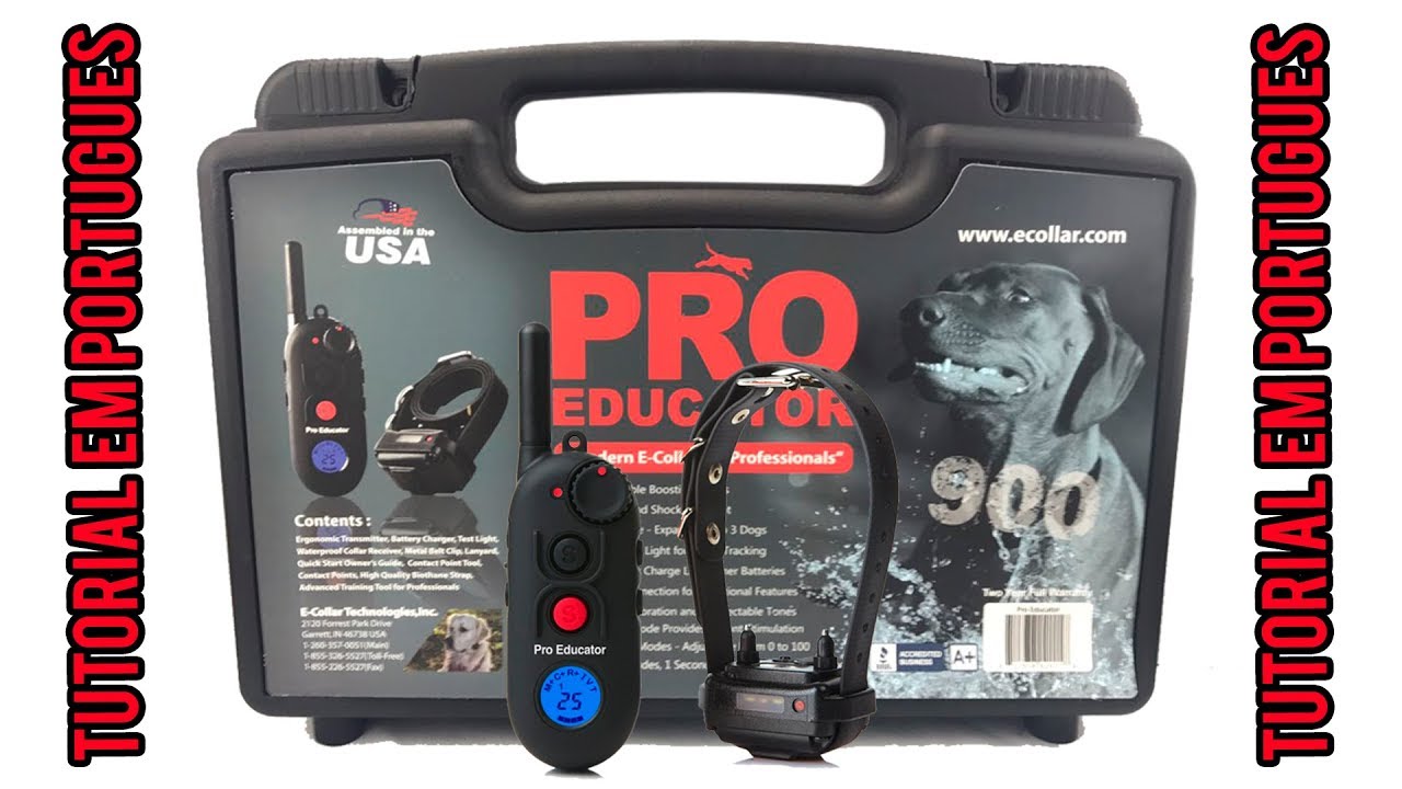 Pro Educator PE 900 Tutorial Portugues - E-collar - Video Aula Colar Eletrônico E-collar