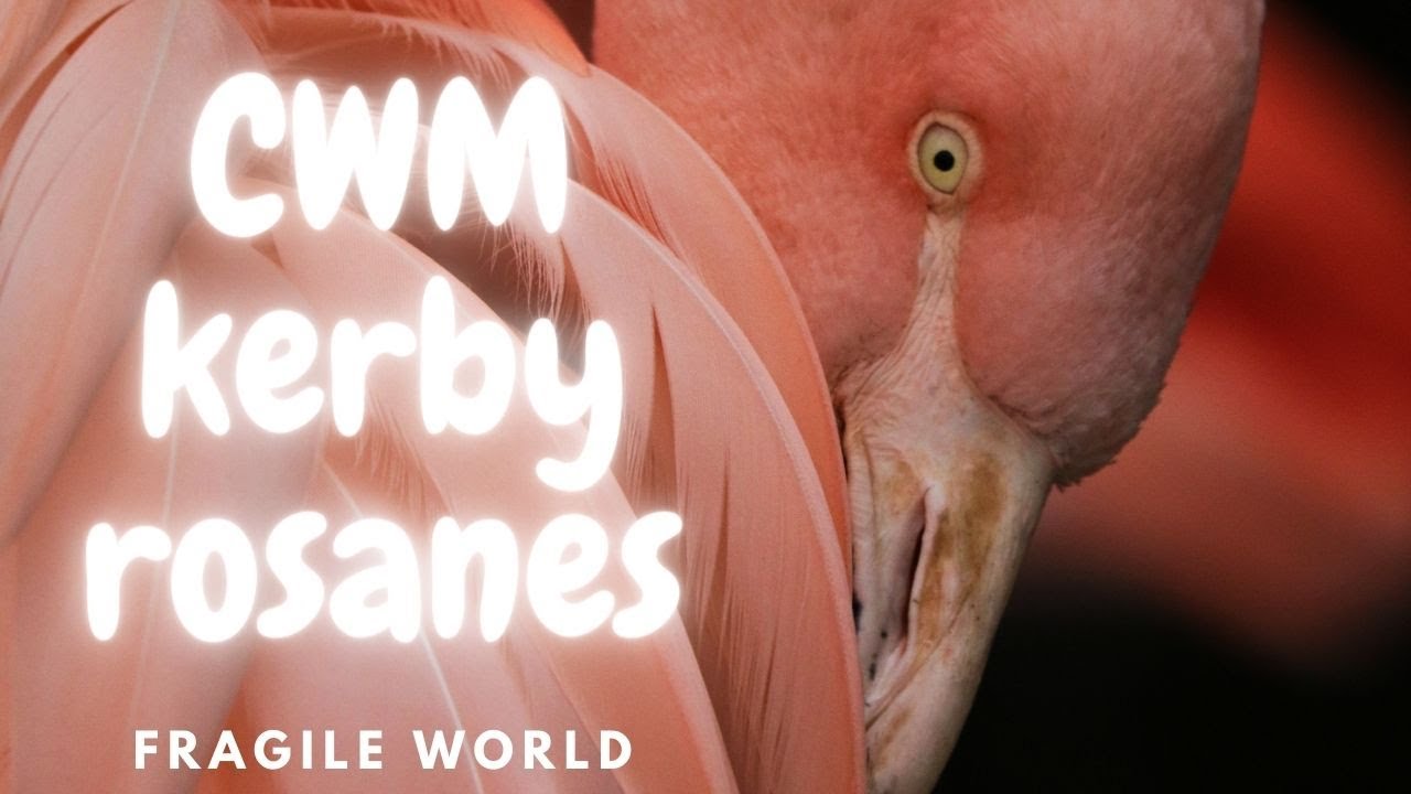 CWM kerby rosanes (fragile world)