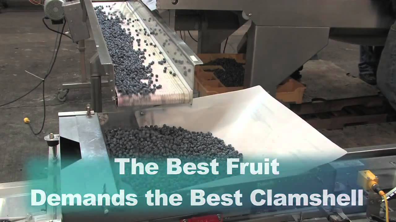 RunRite Blueberry Clamshells