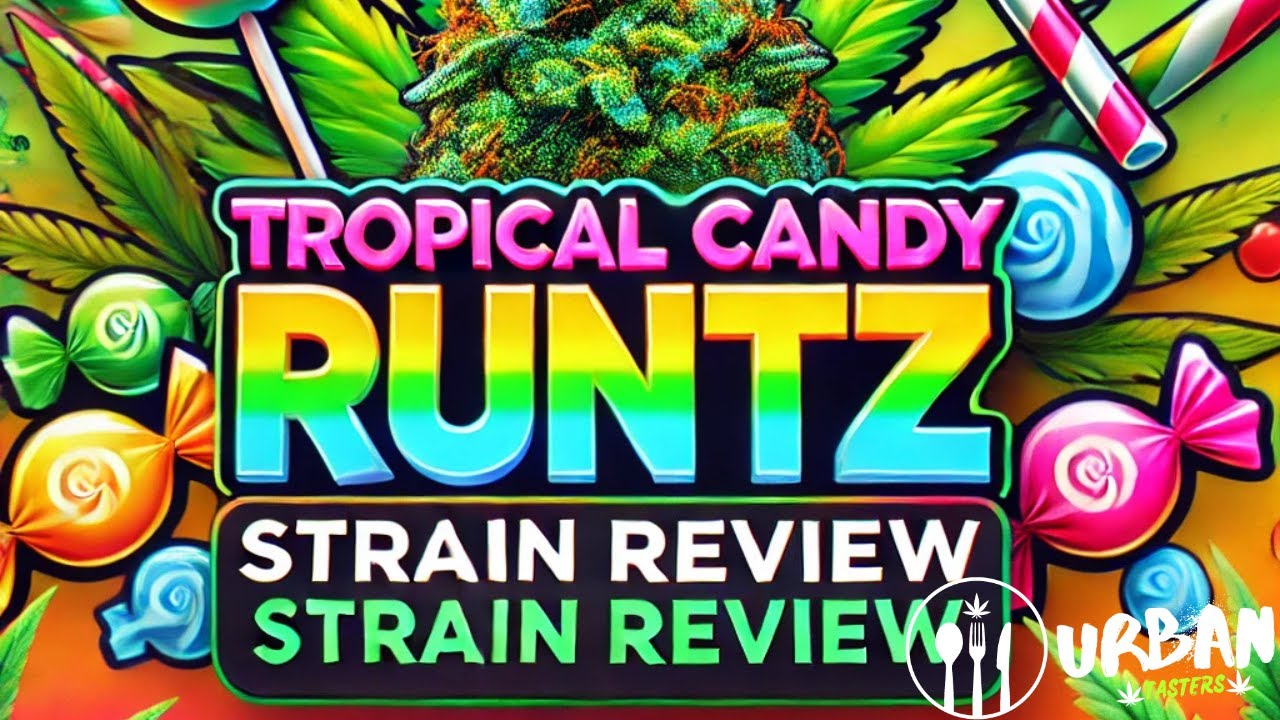 🔥 Tropical Candy Runtz Strain Review: The Sweet Escape You&rsquo;ve Been Waiting For! 🍬🌿