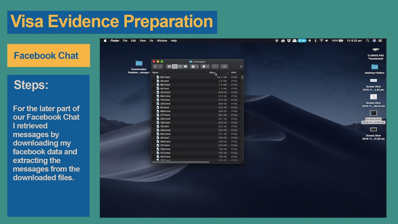 Australian Partner Visa Evidence Preparation Samples