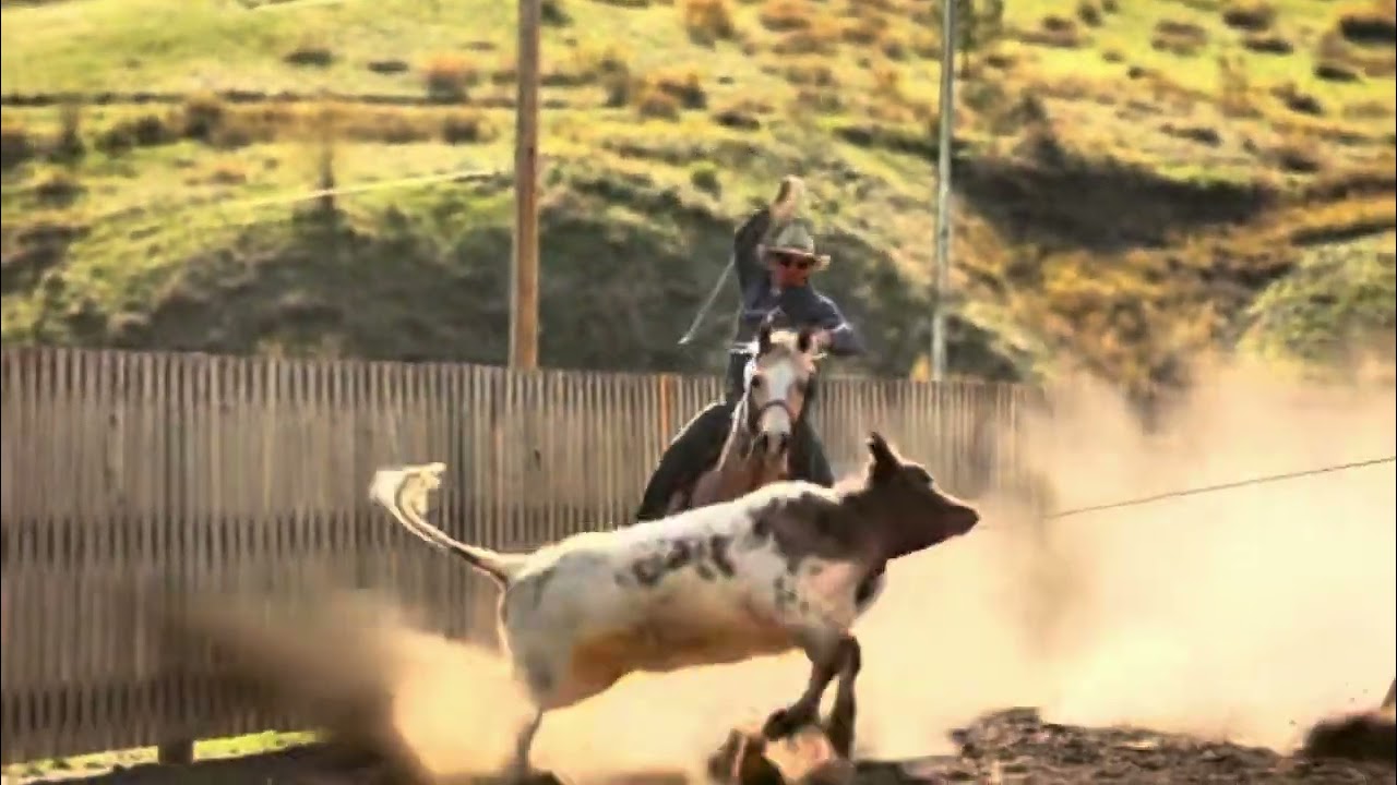 Zippin To The Bux Hip Pendleton cattle barons lot 13 2025￼