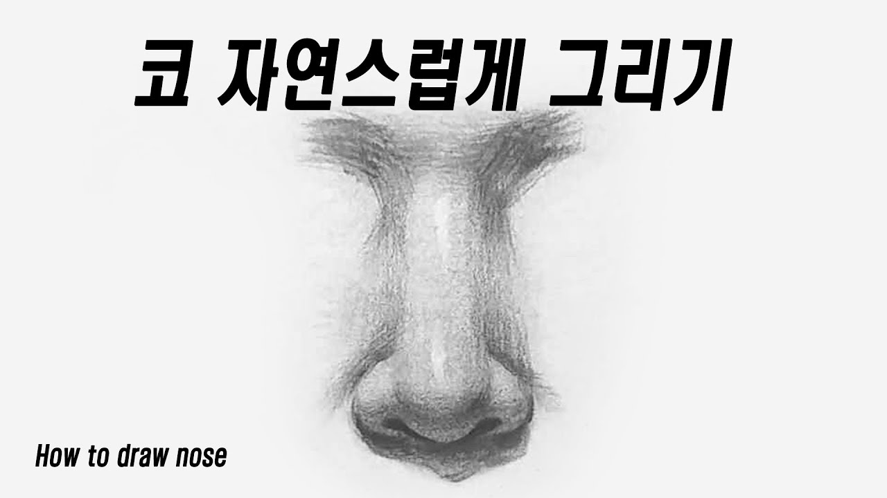코그리는방법/코그리기/연필 인물화/How to draw a nose