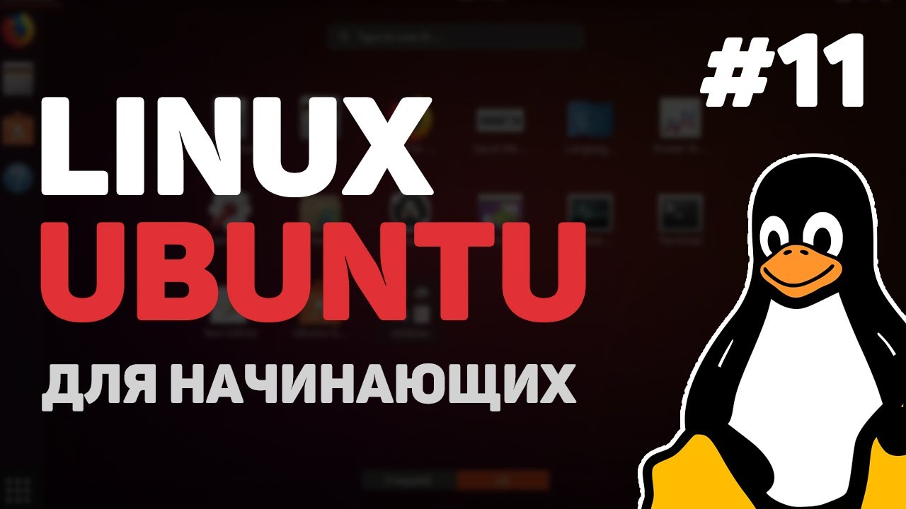 Linux для начинающих / Урок #11 – Bash Shell скрипты