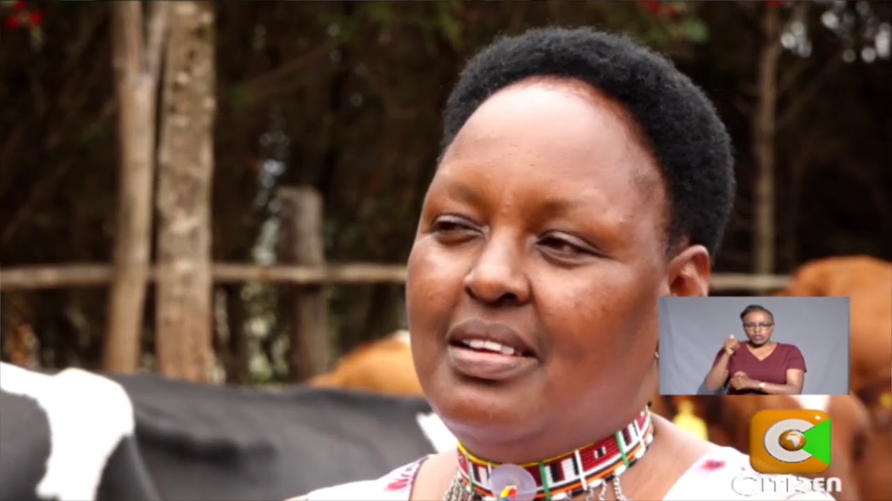 | SMART FARM | Kitengela Dairy Farming