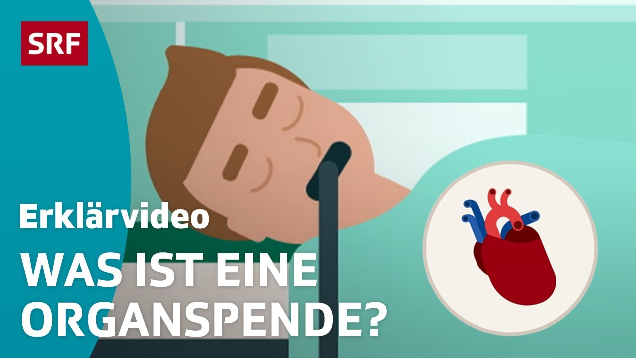 Organspende & Transplantation &ndash; einfach erkl&auml;rt | Kindervideos | SRF Kids