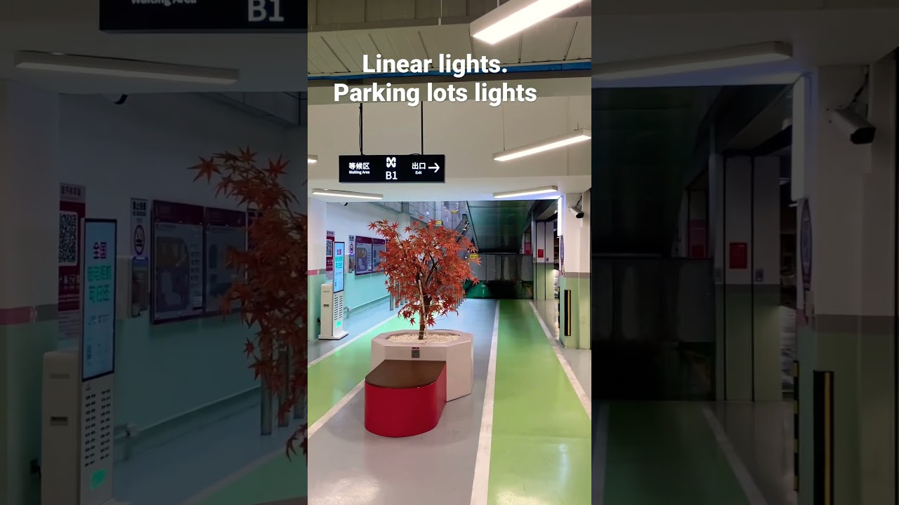 Parking lights linear office lights #parkinglight #linearlight #triprooflight #lightting #light