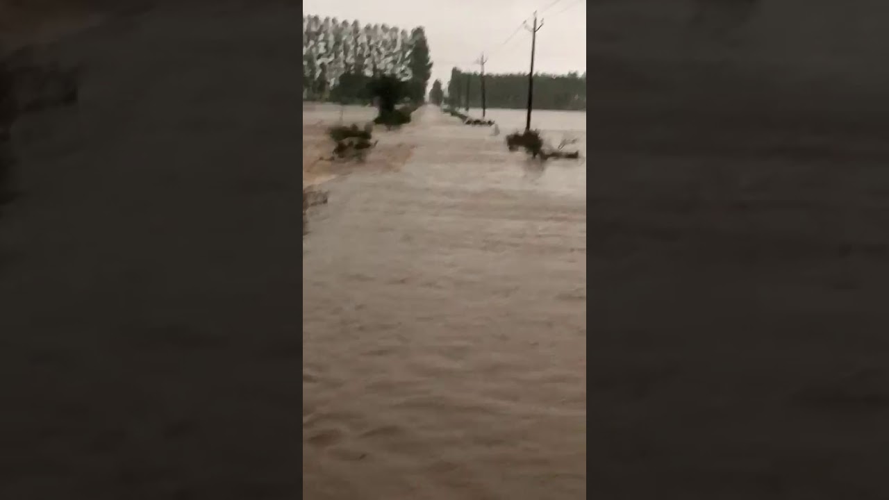 Flood in Punjab Breaking News 14 July 2019