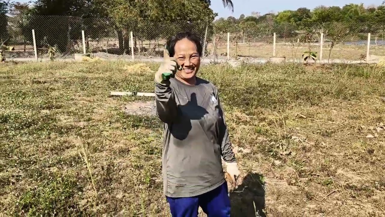 Drømmegrund ved søen i Thailand – 900 m² med Chanot, vand/strøm og perfekt beliggenhed!