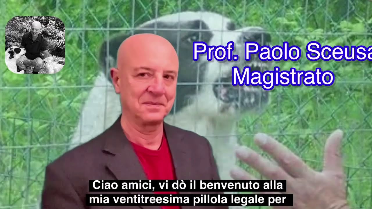 Pillole legali per cinofili: 23 - cane da guardia e legittima difesa anti intrusione