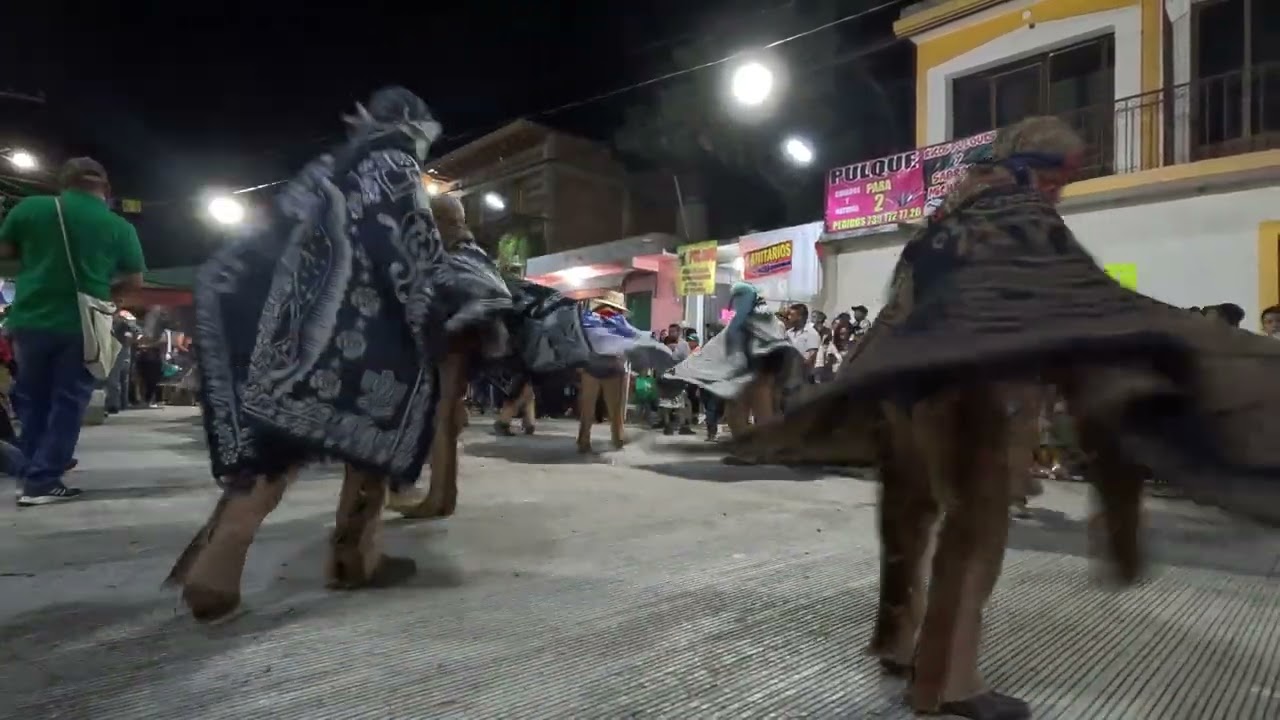 Feria de Tepalcingo 2024 .  Danza de los 