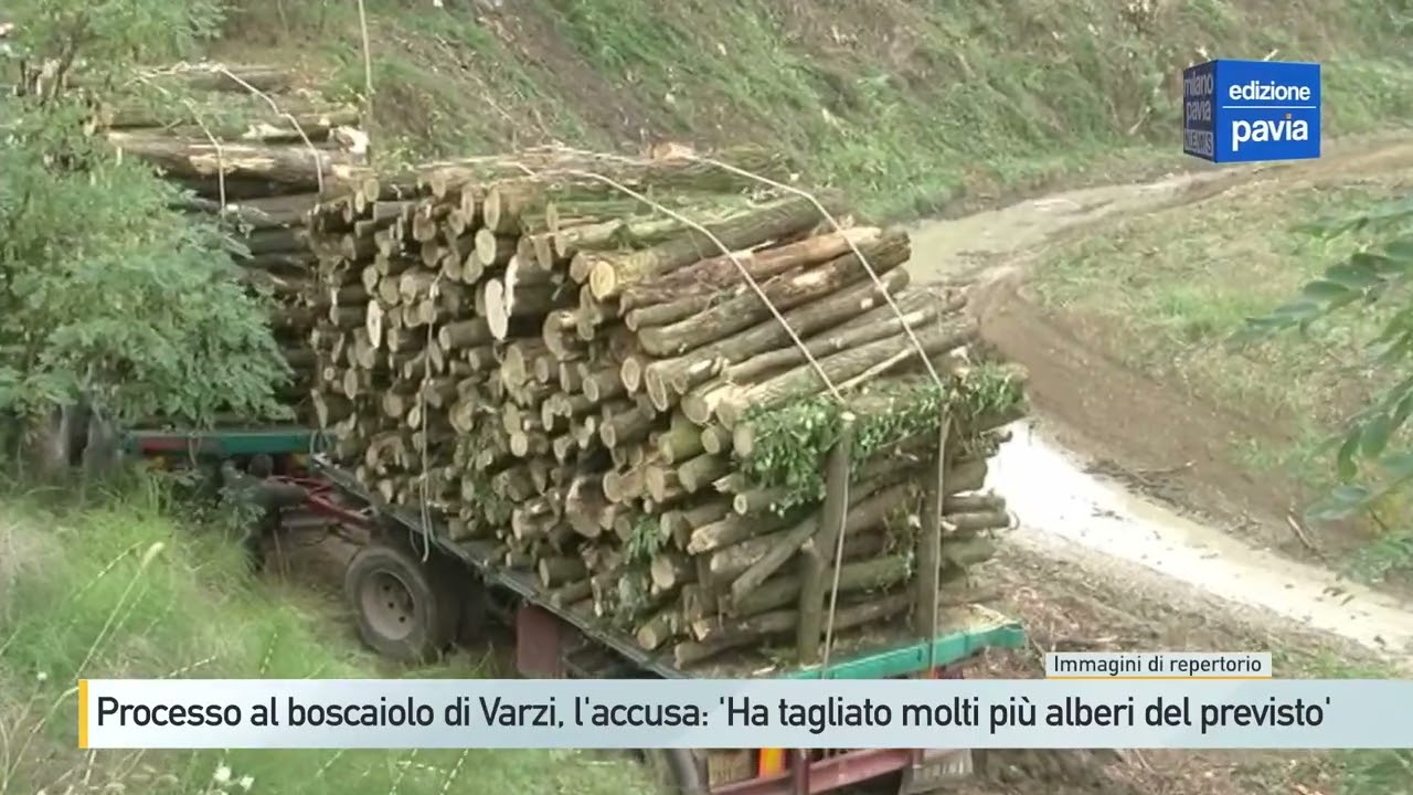 Boscaiolo di Varzi a processo, l'accusa dei forestali: 'Ha fatto incetta di alberi'
