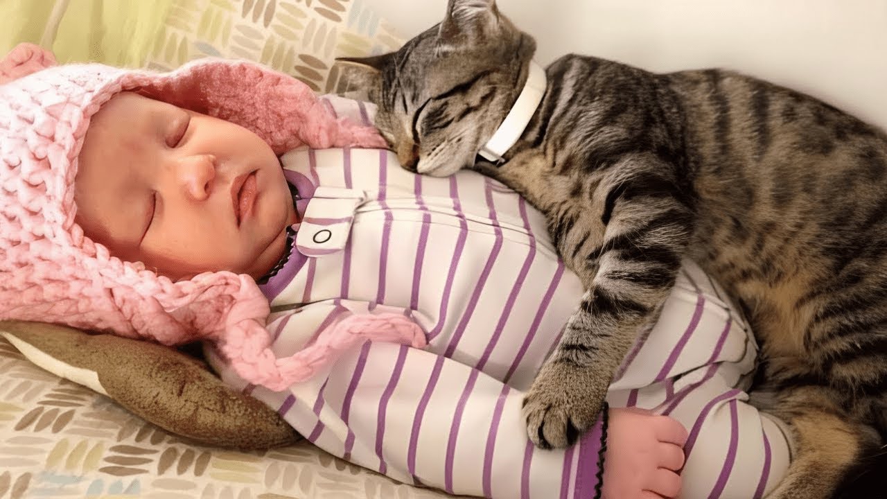Maman a laissé le chat dormir avec le bébé, 1 mois plus tard elle a découvert une vérité choquante