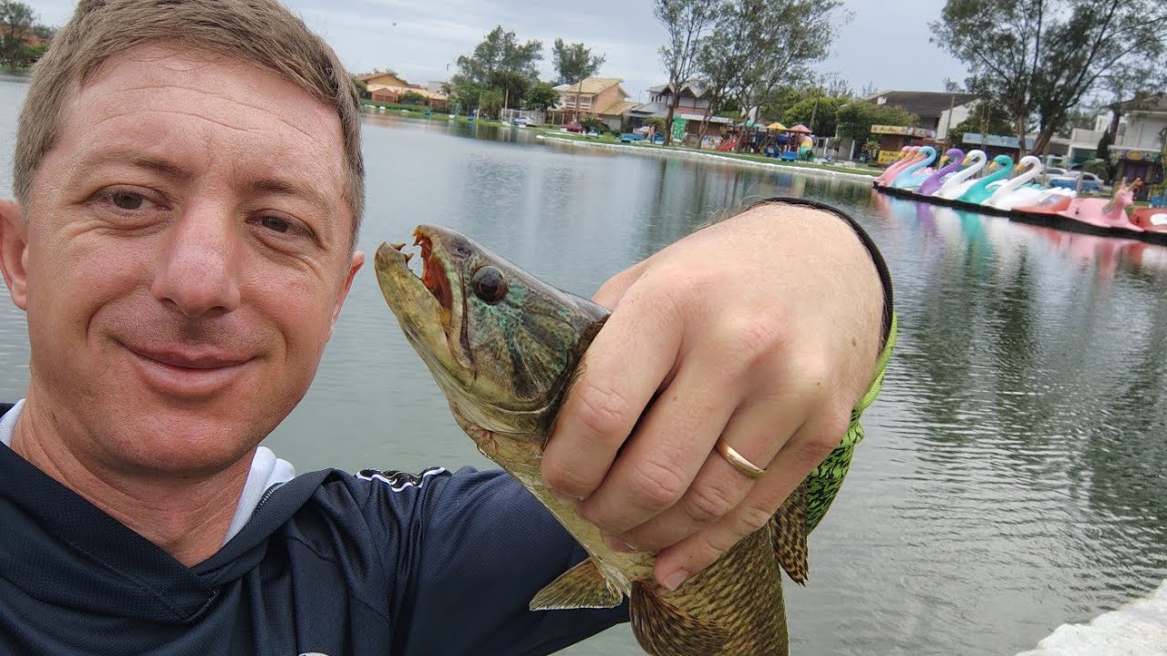 IMBÉ RS Veja o ESPETÁCULO da natureza! PESCA DE TRAIRAS no meio da cidade 