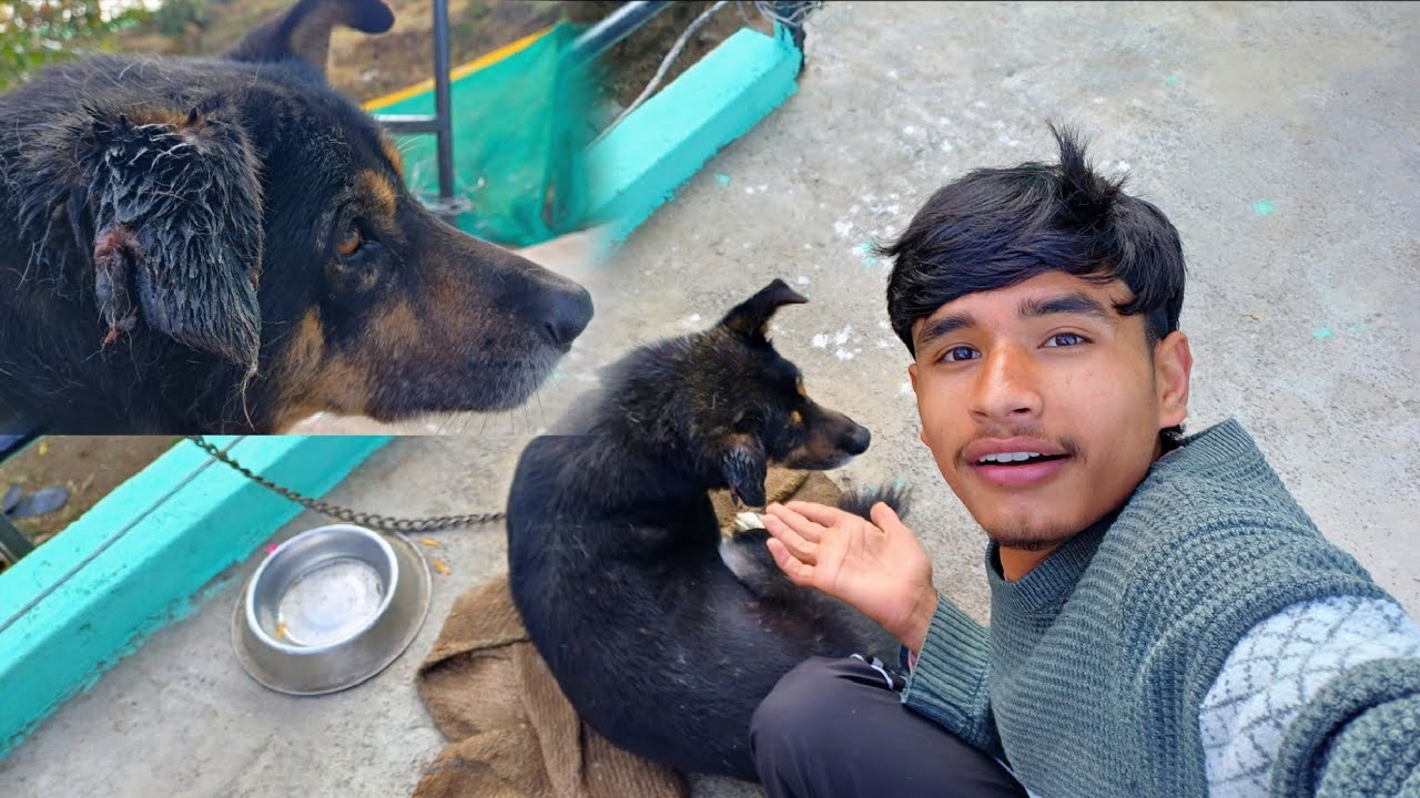 Jojo Ke Kaan Ke 2 Tukde Hogye 🫢😯