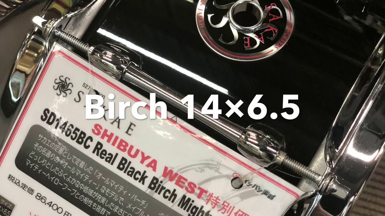 【SHIBUYA WEST 】Sakae Birch or Maple?　6.5インチで比較動画【SAKAE】