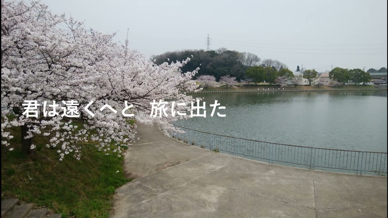 逢え全曲