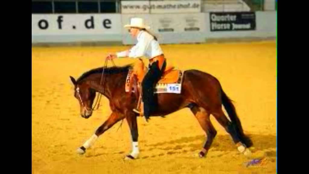 Du meinst Reiten ist E I N F A C H ?