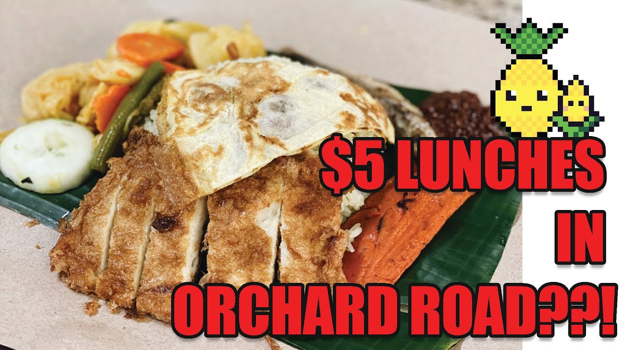 Cheap & Good Eats along Orchard Road in this expensive city? IS IT POSSIBLE? #singapore #yummyfood