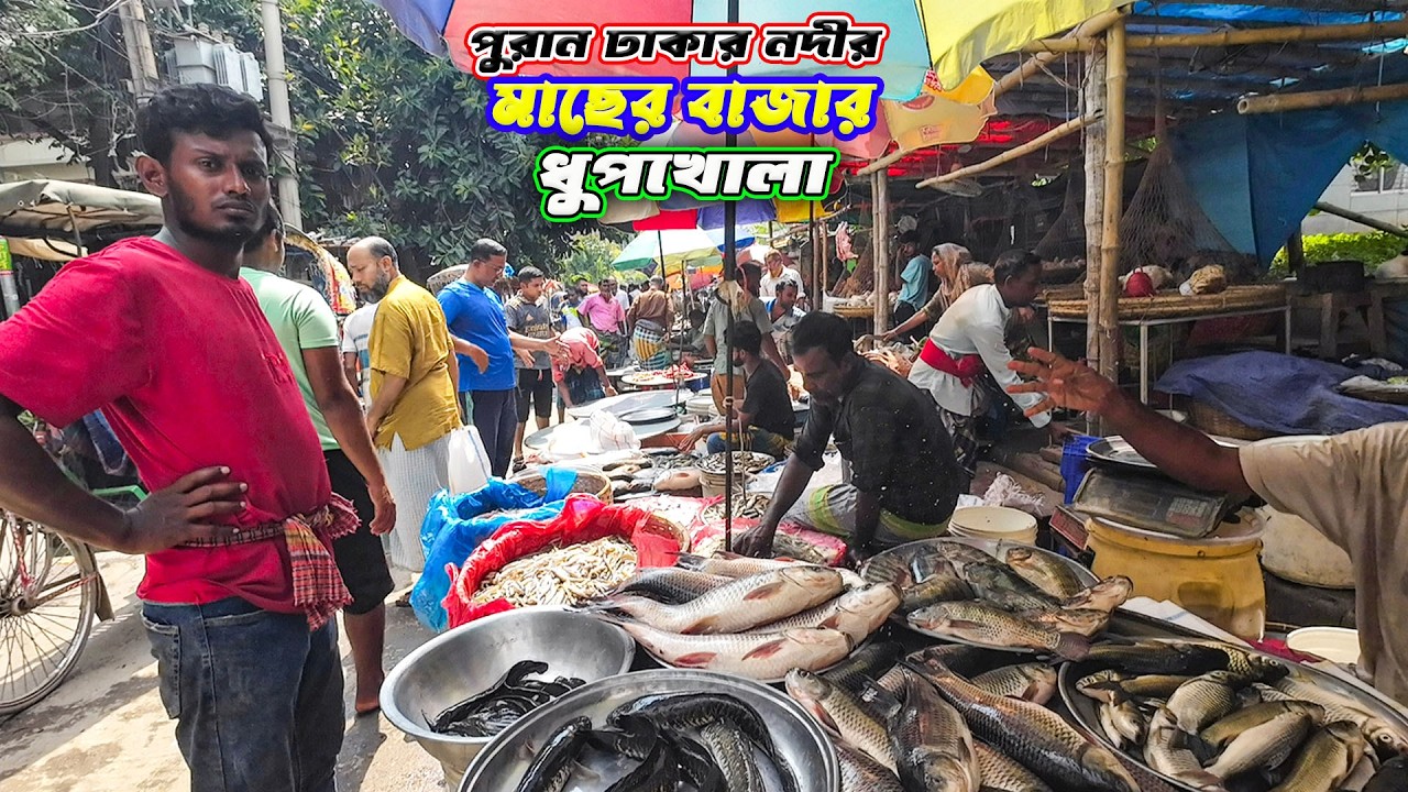 ধুপখোলা মাছ বাজারের রহস্য: যা আপনার অবাক করবে 🔥🔥| Fish Market in Dhupkhola