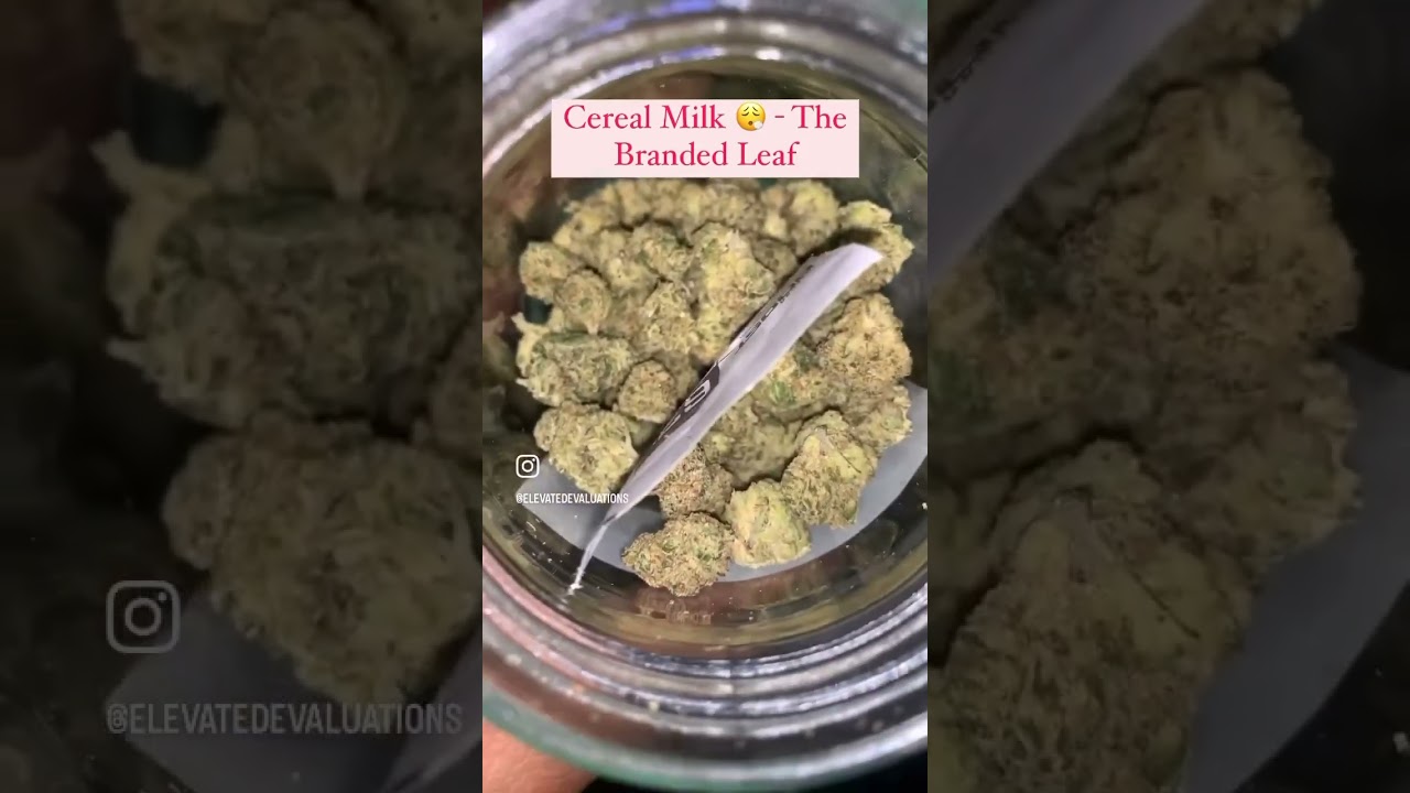 Unpackabowl by Differently Dank, Flower from The Branded Leaf 🍃