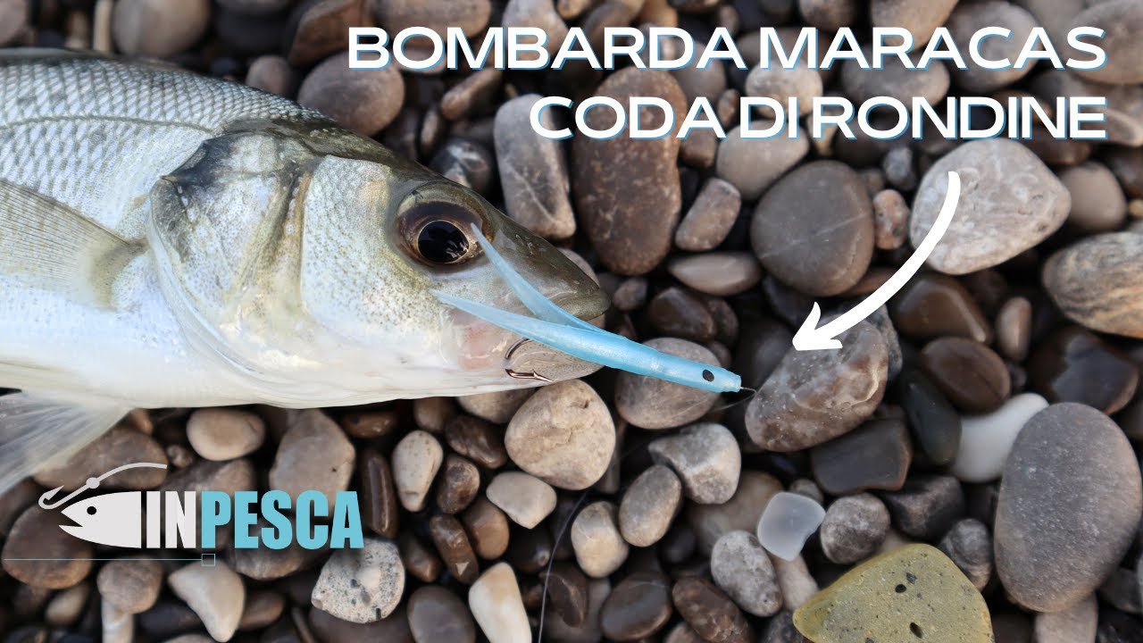 Pesca con BOMBARDA MARACAS e CODA DI RONDINE con attrezzatura ULTRA LIGHT | Da alternare ai Raglou !