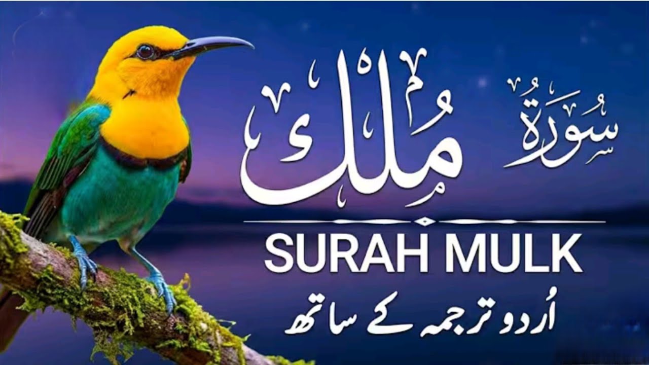 🌌 Surah Al-Mulk with Urdu Tarjuma | Hifazat Aur Rehmat ki Surah 🛡️✨ | Episode 074 |
