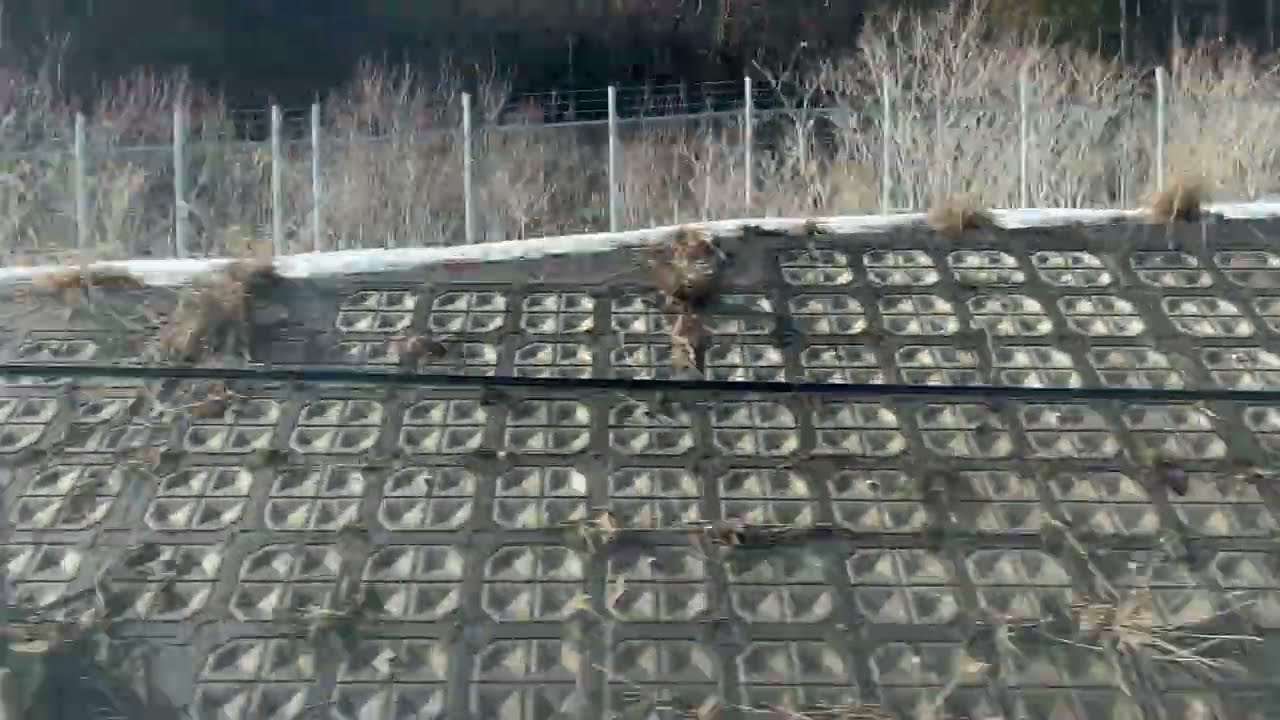 【車窓】 北海道新幹線 新函館北斗駅→木古内駅 E5系0番台U10編成 E523-10