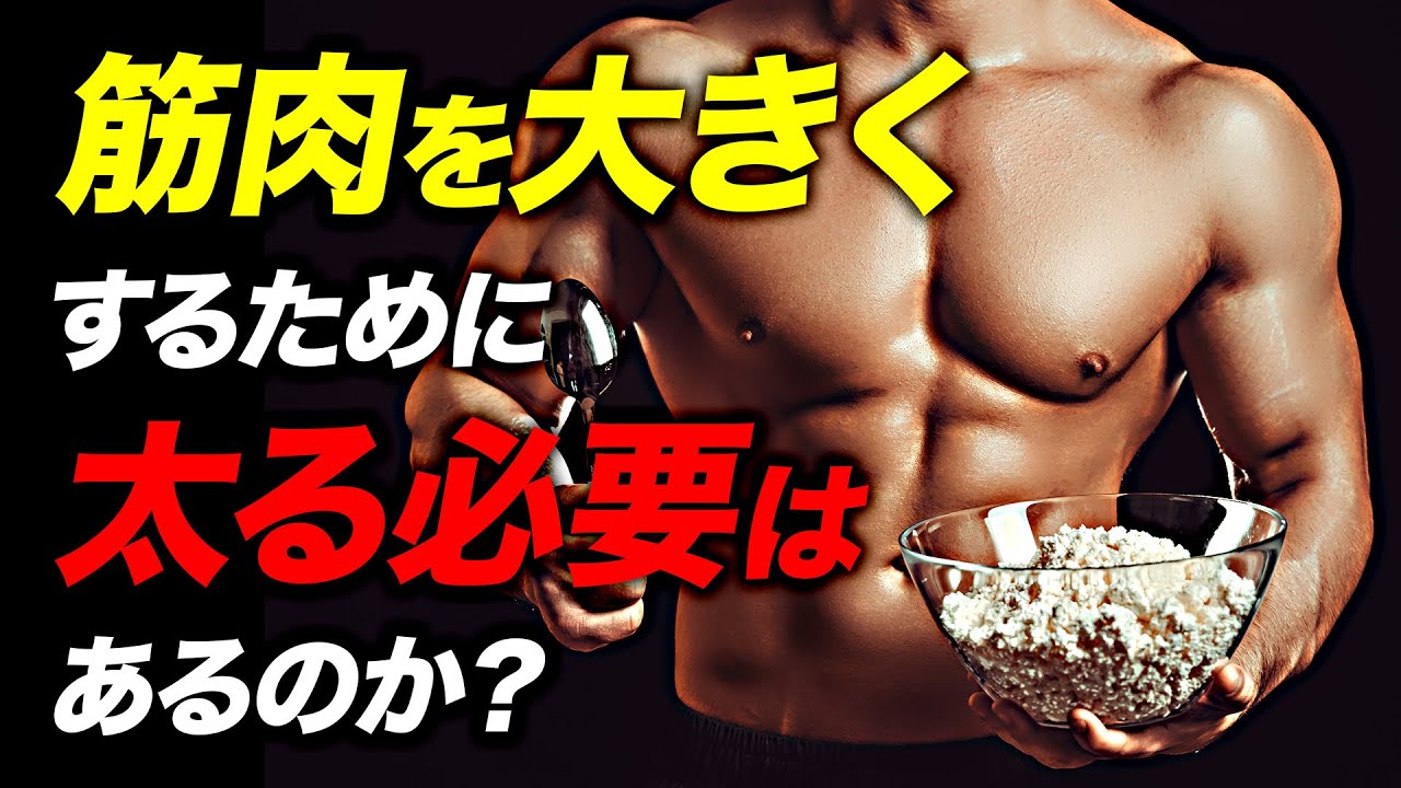 【筋トレ】筋肉を大きくするために太る必要はあるのか？【ビーレジェンド プロテイン】