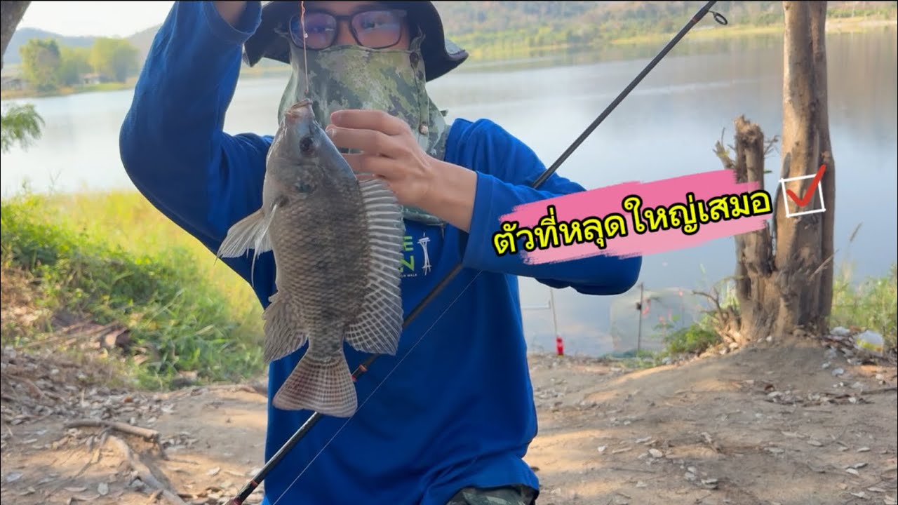 EP | 8 มันจะแอบดึงตอนที่เราไม่ได้ตั้งตัว #ผู้ติดตาม #fishing #ตกปลาหน้าดิน #carpfishing