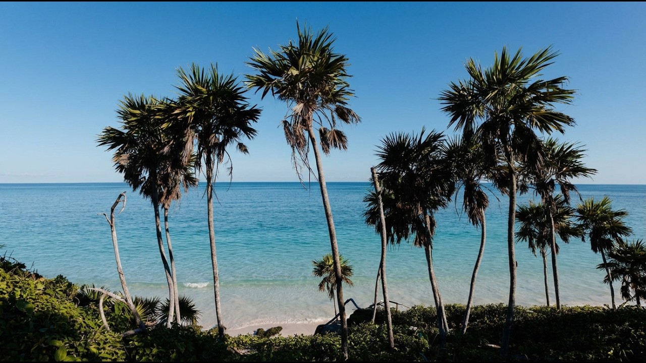 Ocean Waves For deep Sleep •  Deep Sleep In Just 5 Minutes • Music For Sleeping And Deep Relaxation