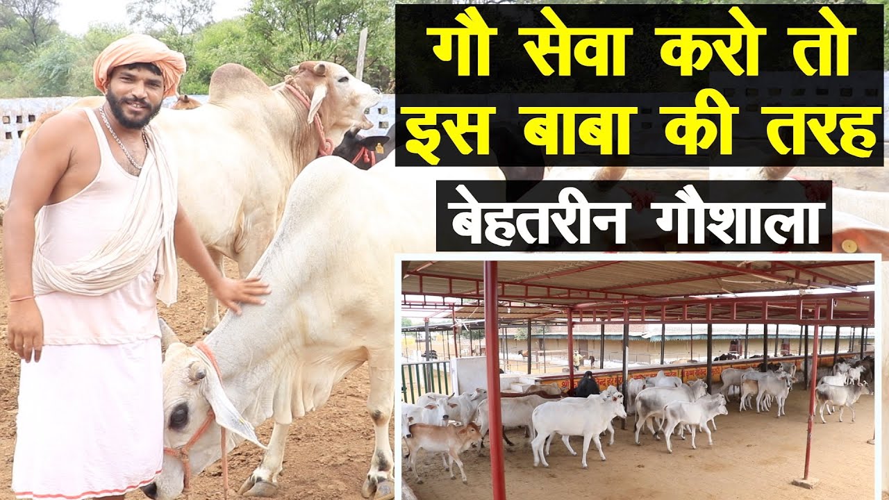 बाबा ने बना दी ऐसी गौशाला, आप भी कहेंगे सच्ची गौ सेवा ये है || Technical Farming ||