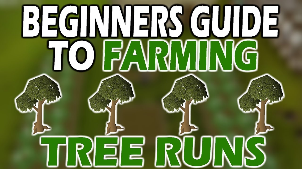 [OSRS] ULTIMATE Beginners TREE RUN GUIDE | Farming For Noobs
