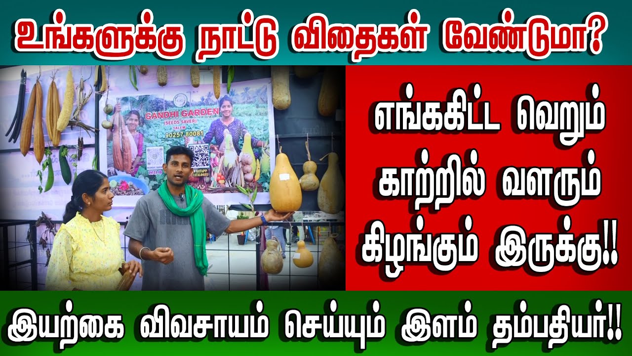 உங்களுக்கு என்ன விதை வேனும் கேளுங்க! நாங்க அனுப்புறோம்!  | parampariya nattu vithaigal | tamil nalam