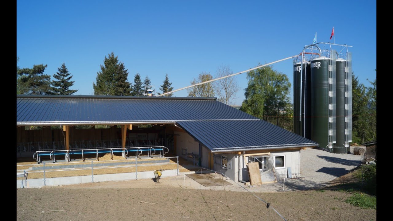 Bühlhof - 2017 Neubau Freilaufstall