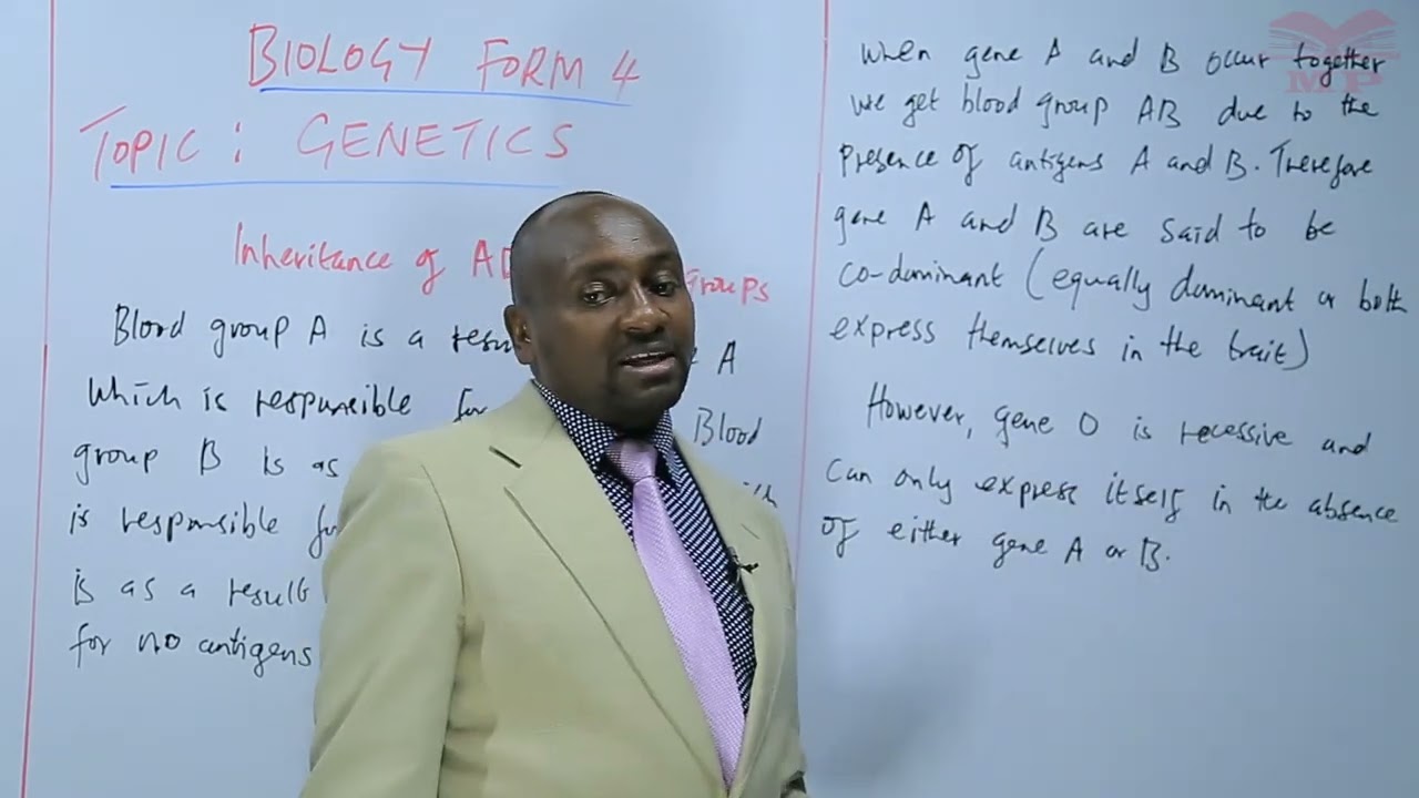 Inheritance of ABO Blood Groups