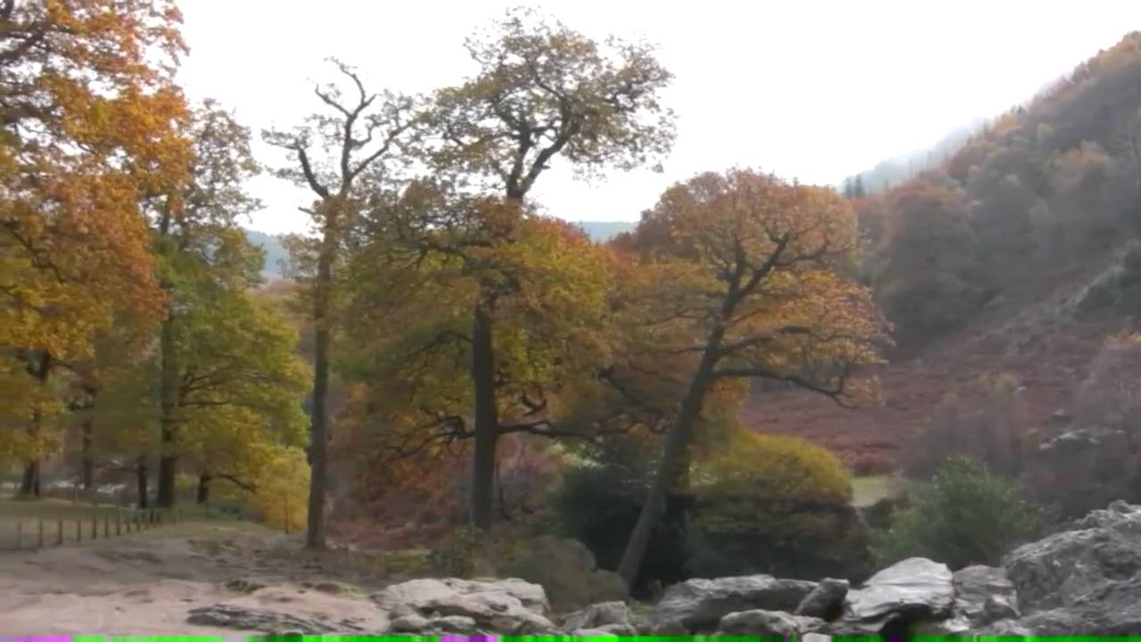 Vintage Drive Through the Wicklow Mountains