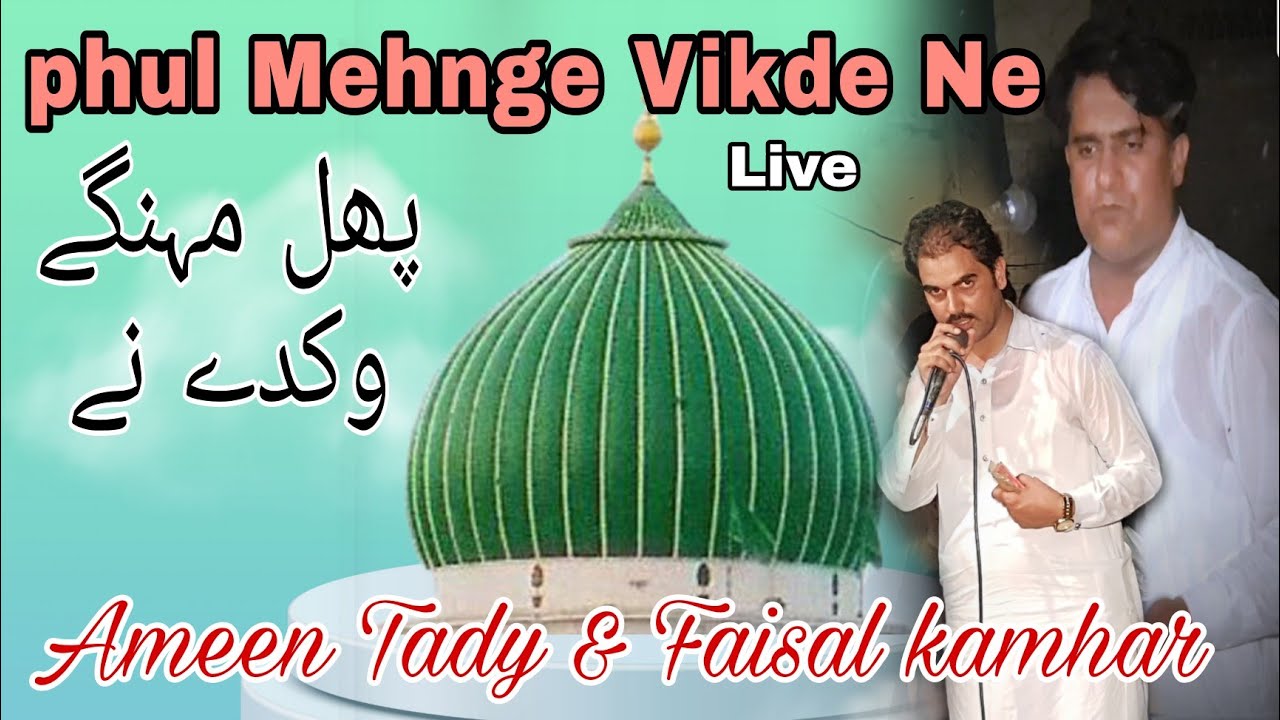 phul Mehnge vikde ne | Ameen Tady | Faisal Kamhar | Live | Mian sab sarkar kanwalit