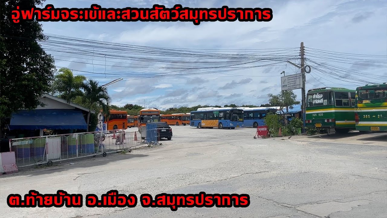 Sim Busfan EP50 อู่ฟาร์มจระเข้และสวนสัตว์สมุทรปราการ (Crocodile Farm Bus Depot)
