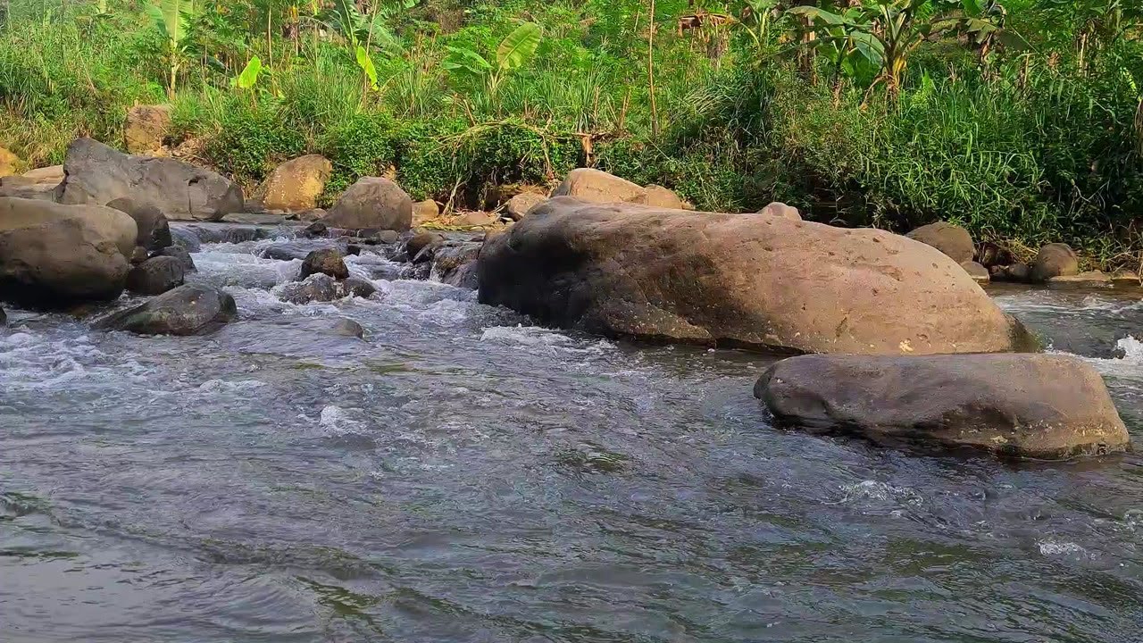 Serene River Under Moonlight – Peaceful Flowing Water Ambience for Sleep